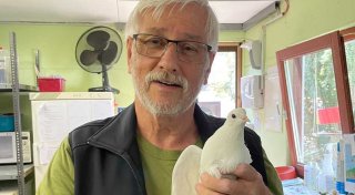 Letzte Botschaft von Bielefelds oberstem Tierschützer ist zunächst ein Rätsel
