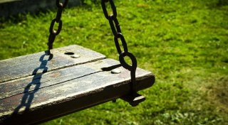 Nicht mehr zu retten: Baum auf Bielefelder Kinderspielplatz vergiftet
