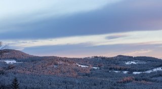 Frühlingshaftes Wetter folgt auf Kälte und Schnee