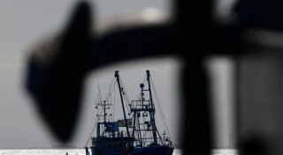 Nordseefischer müssen 2025 weniger Hering fangen