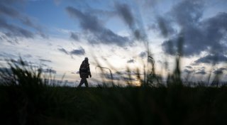 Keine Lust auf Spaziergang? Probieren Sie diese Tricks!