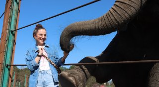 Mit Video: Freizeitpark Safariland im Kreis Gütersloh eröffnet mit neuen Highlights