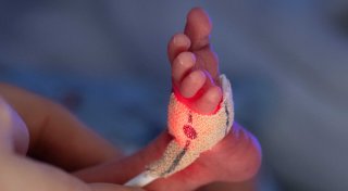 Kurzmeldungen aus Hiddenhausen: Berührende Frühchen-Geschichte