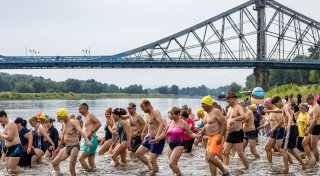 Hunderte Teilnehmer beim Elbeschwimmen in Dresden