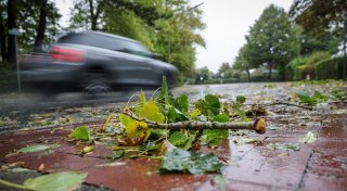 Wetterdienst warnt vor Sturmböen in ganz OWL am Samstag - Hövelmarkt muss Programm ändern