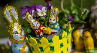 Teure Ostern 2025: Eier kosten in NRW mehr - großer Preisanstieg bei Schokolade