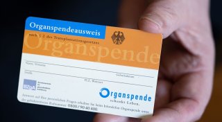Urlaub: Organspendeausweis in Landessprache bei sich haben