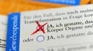 Zu wenige Organspenden und keine Lösung: Herzzentrum kritisiert neue Bundesregierung