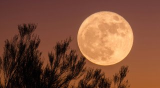 Supermond im November: So gut stehen die Chancen, das Spektakel in OWL zu sehen