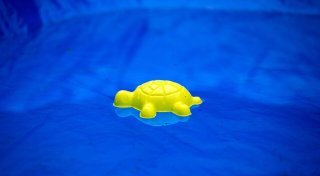 Zwei vermisste Kinder tot in Pool in Frankreich gefunden