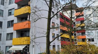 Verein in Gütersloh investiert 20 Millionen Euro in Großprojekt - 30 Bäume müssen weichen