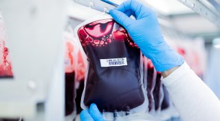 Krankenhäuser im Kreis Höxter brauchen pro Jahr Tausende Portionen Spenderblut