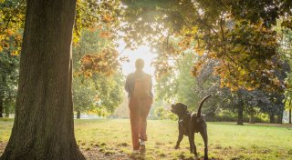 Herbstspaziergang mit Hund - Vorsicht vor Kastanien