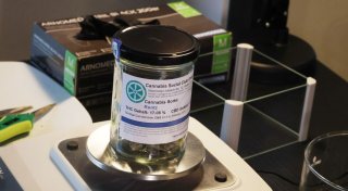 Union drängt auf Änderungen beim Cannabisgesetz
