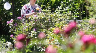 Am Gartenzaun: Räuberin reißt Bielefelder Seniorin Goldkette vom Hals und flüchtet