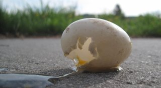 Kreis Paderborn kompakt: Eierwürfe, berufliche Inklusion und Weihnachtsmarkt