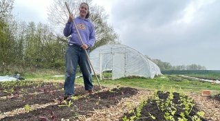 Direkt aus dem Gemeinschaftsgarten: Bünder Gemüsekisten auf dem Vormarsch