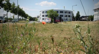 Zukunft der Löhner Investorenwiese: Diese zwei Konzepte stehen im Wettstreit