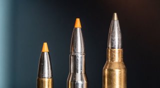 Jäger in Tschechien erschießt Jäger