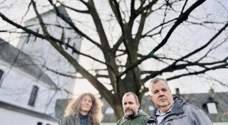 Baum des Jahres 2025: Grünes Wahrzeichen in Bielefeld wird gefällt