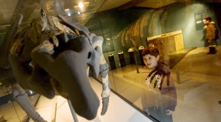 Neuer Betreiber für das Dobergmuseum in Bünde gefunden