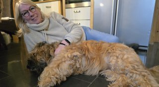 Frau im Kreis Gütersloh züchtet besondere Hunderasse: „Schönster Hund der Welt“