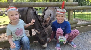 Bestes Wetter lockt viele Familien zum NW-Tierparkfest nach Herford