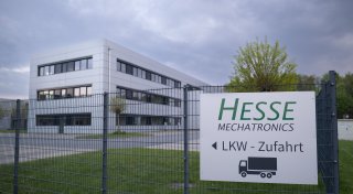 Rodung des Hesse-Wäldchens in Paderborn: Vorentscheidung gefallen