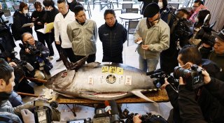 Erste Thunfisch-Auktion in Japan 2025 erzielt hohen Preis