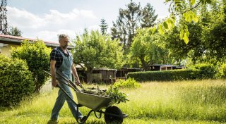 Wohin mit dem Grünschnitt aus dem Garten?