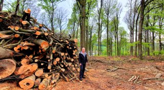 Kahlschlag in Bielefeld: Anwohner verärgert über Baumfällungen in Waldstück