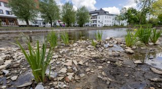 Kreis Paderborn erlebt historische Trockenphase: Wie Sie jetzt Wasser sparen können