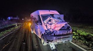 Pferde-Unfall in Minden-Lübbecke: Versicherung der Pferdehalterin zahlt nicht