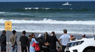 Surfer stirbt nach Hai-Attacke in Sydney - Strände gesperrt