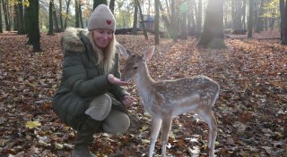 Damwildgehege in Bad Oeynhausen: Findelkind Linus genießt Gatterluft
