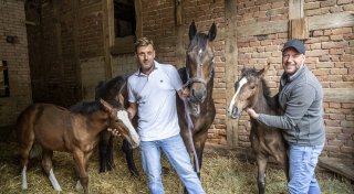 Fohlenzwillinge in Bielefeld: Sonny und Sally überleben schwierigen Start ins Leben