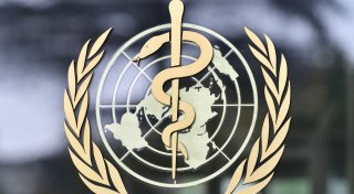 Atemwegsvirus HMPV in China: WHO beruhigt