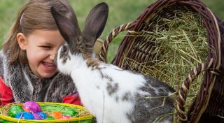 Osterhase, Gründonnerstag und Co.: Osterbräuche und Osterbegriffe im Check