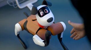 Vom Labor in die Realität: Wo China Roboter einsetzen will