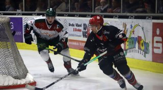 Playoffs scheinen für den Herforder EV erreichbar zu sein