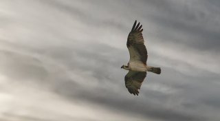 Das sind die schönsten Leserfotos zum Herbst aus Enger und Spenge