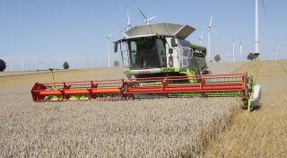 Klimawandel erschwert Ernte in OWL: Regen sorgt für Verluste bei Getreide und Raps