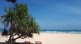 Sri Lanka erlaubt wieder Visum bei Einreise