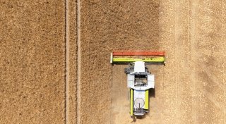 Landwirte hoffen auf durchschnittliche Ernte