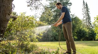 3 Tipps zur Baumpflege