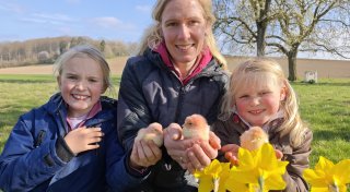 Besuch bei den Osterküken auf dem Biohof im Kreis Höxter