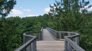 Baumwipfelpfad Panarbora: Naturpark lockt mit ungewöhnlicher Aussicht