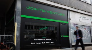 Cannabis-Ernte in Bielefeld: Wann gibt`s das erste Gras?