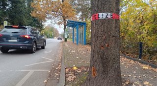 Rätselhafter Autounfall am Nordring in Bünde wirft Fragen bei Anwohnern auf