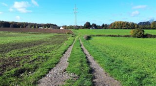 Naturerlebnis in Enger: Rundwanderweg „A1 Oldinghausen“ im Praxistest